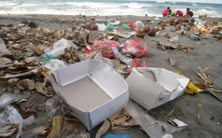 Antara Budaya dan Kebiasaan, Lingkungan Menanggung Penyesalan