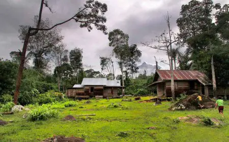 Dibagi Tanpa Persetujuan, Masyarakat Adat Meratus di HST Minta Tinjau Ulang Tapal Batas
