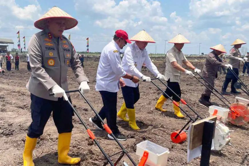 Polda Kalsel Menjadi Role Model Penanaman Jagung, Target Panen 3.000 Ton di Lahan Basah