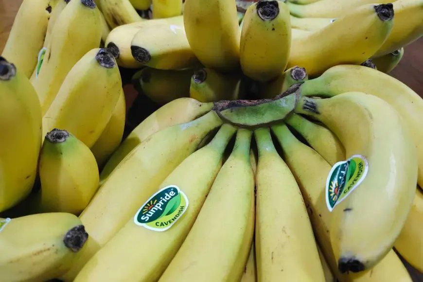 Gara-gara Pisang, Dua Pria di HST Menjadi Tersangka Korupsi Rp441 Juta