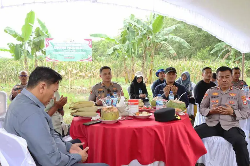Polres Batola Panen Jagung di Marabahan, Bukti Kepedulian Terhadap Ketahanan Pangan Nasional