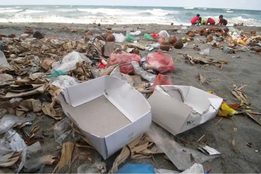 Antara Budaya dan Kebiasaan, Lingkungan Menanggung Penyesalan