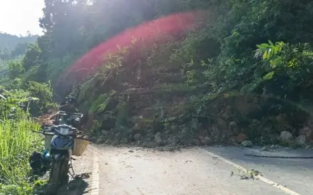 Bukit Papua Longsor, Jalan Bypass Banjarbaru-Batulicin Lumpuh Total