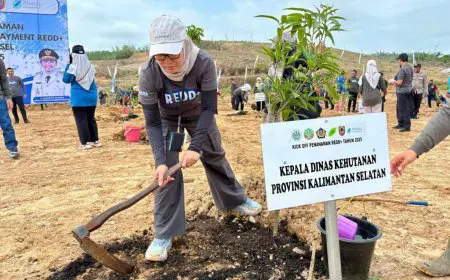 Kickoff Program REDD+, Dishut Kalsel Tanami Lahan Tidur di Banjarbaru