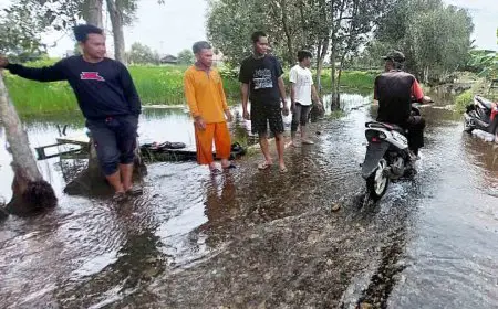 Setiap Tahun Terendam, Jalan Penghubung Tiga Desa di Mandastana Batola Tak Kunjung Diperbaiki