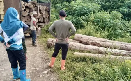 Patroli KPH Tanah Laut Ungkap Dugaan Ilegal Logging di Kintap