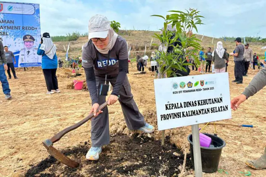 Kickoff Program REDD+, Dishut Kalsel Tanami Lahan Tidur di Banjarbaru