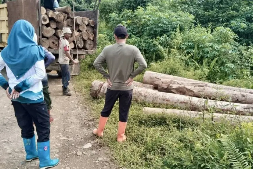 Patroli KPH Tanah Laut Ungkap Dugaan Ilegal Logging di Kintap