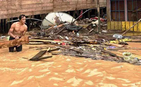 Bukaan Lahan Ilegal Terungkap, KLH Bidik Adaro hingga AGM