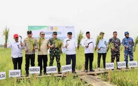 Panen Raya di Batola, Kalsel Deklarasi Swasembada Pangan 2026 Bersama Presiden Prabowo