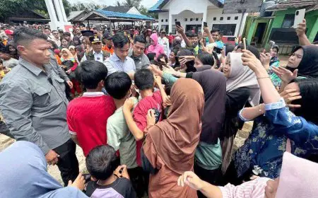 Cek Pemenuhan Layanan Dasar Warga Terdampak Banjir, Wapres Sambangi Balangan dan Banjar
