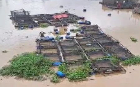 Puluhan Keramba Ikan Hanyut di Sungai Martapura Banjarmasin, Kerugian Ditaksir Rp1 Miliar
