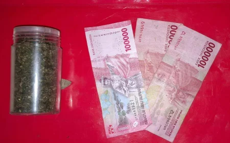 Polres Batola Bongkar Tanaman Ganja Rumahan di Alalak, Disita Ratusan Gram Barang Bukti