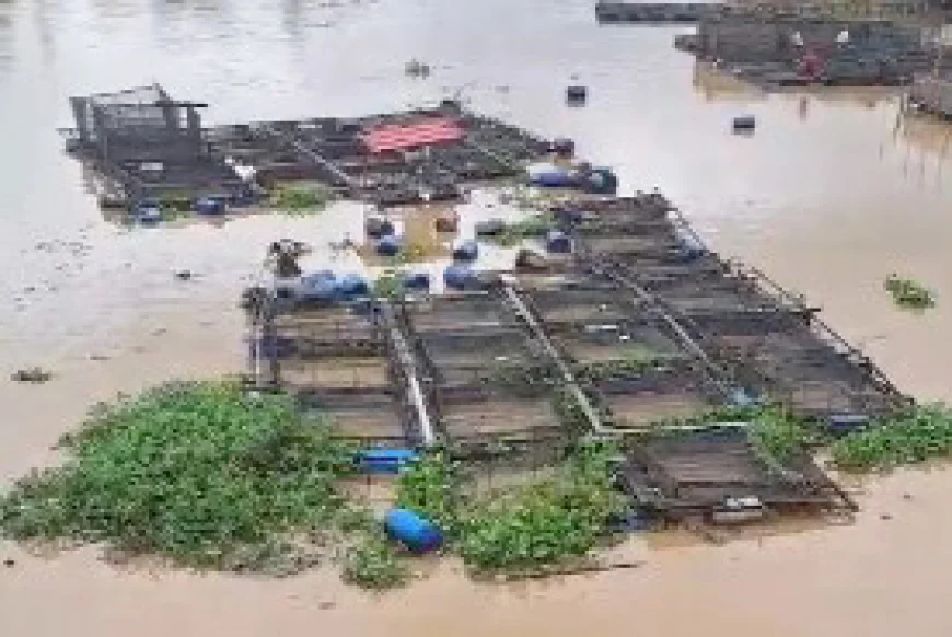 Puluhan Keramba Ikan Hanyut di Sungai Martapura Banjarmasin, Kerugian Ditaksir Rp1 Miliar