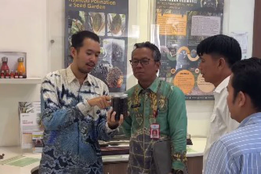 Produksi Sawit Batola Capai 37.985 Ton, DPRD Perkuat Sinergi dengan PPKS