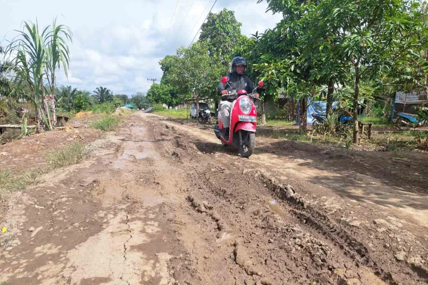 Pekerjaan Besar Infrastruktur Batola, 560 Kilometer Jalan Perlu Perbaikan Serius