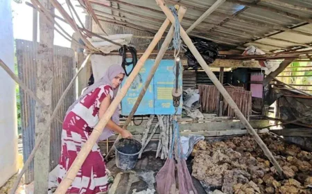 Harga Karet di Balangan Tembus Rp14 Ribu Per Kilogram, Petani Kembali Tersenyum