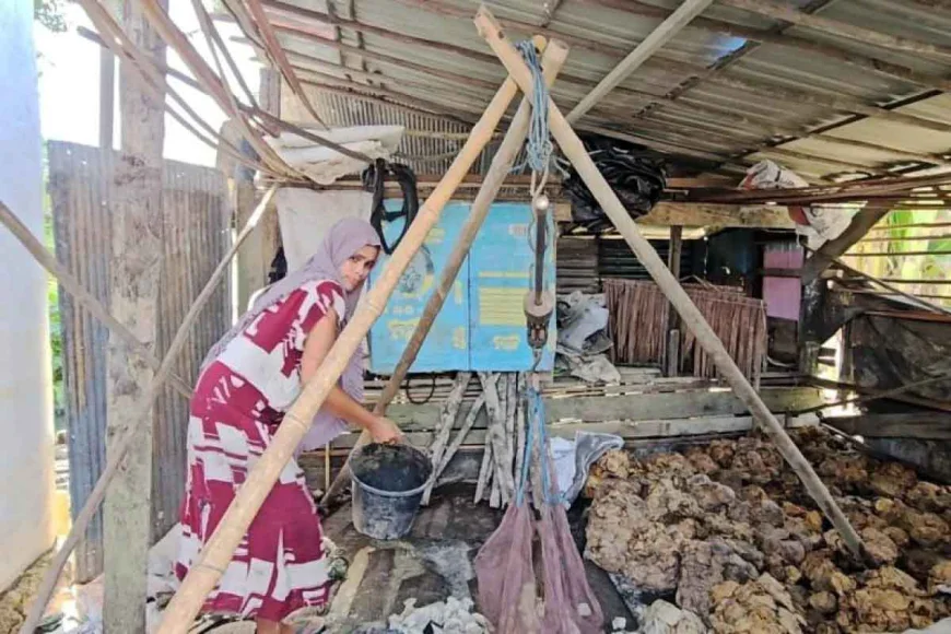 Harga Karet di Balangan Tembus Rp14 Ribu Per Kilogram, Petani Kembali Tersenyum