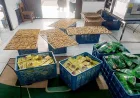 UMKM Tanah Bumbu Tembus Pasar Luar Negeri, Keripik Talas Laris di Malaysia
