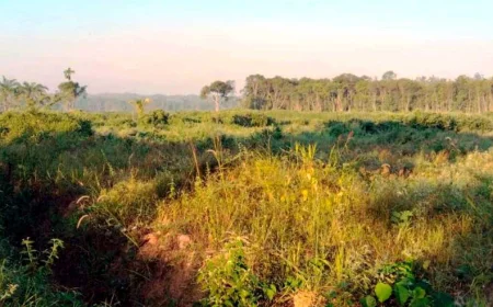 Cetak Sawah Rakyat di Kinarum Tabalong Mangkrak, Petani Belum Bisa Menanam