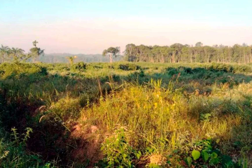 Cetak Sawah Rakyat di Kinarum Tabalong Mangkrak, Petani Belum Bisa Menanam