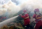 Karhutla Sulit Dijangkau, BPBD Kalsel Langsung Menurunkan Water Bombing