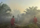 Komitmen Zero Fire, Julong Group Bantu Pemadaman Karhutla di Jejangkit Timur Batola