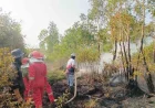 Karhutla di Jejangkit Meluas, Julong Group Bersama Polres Batola dan Relawan Berjibaku Hingga Malam