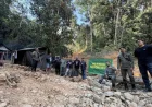 Jejak Tambang Emas Ilegal Ditemukan di Hutan Tabalong, Tersisa Bekas Galian Berdiameter 30 Meter