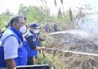 42 Perusahaan Terindikasi Terkait Karhutla di Kalimantan, Sanksi dan Biaya Pemulihan Akan Dijatuhkan