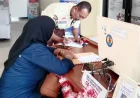 Dugaan Perselingkuhan Pejabat Tinggi di Batola Belum Tuntas, BKN hingga Kemendagri Didorong Turun Tangan