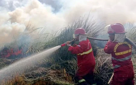 Karhutla Sulit Dijangkau, BPBD Kalsel Langsung Menurunkan Water Bombing