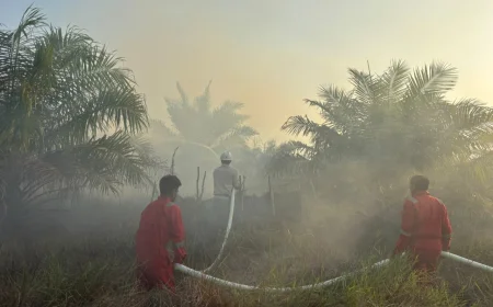 Komitmen Zero Fire, Julong Group Bantu Pemadaman Karhutla di Jejangkit Timur Batola