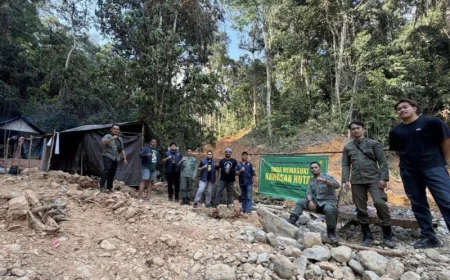 Jejak Tambang Emas Ilegal Ditemukan di Hutan Tabalong, Tersisa Bekas Galian Berdiameter 30 Meter
