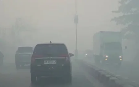 Asap Karhutla Ganggu Aktivitas Bandara Syamsudin Noor, 12 Penerbangan Terdampak