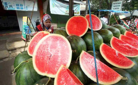 Harga Semangka Anjlok, Petani Tanah Bumbu Pilih Beralih Tanam Cabai