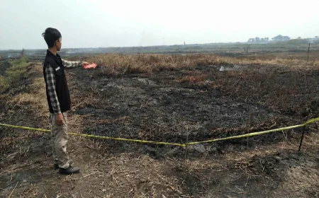 Petani di Simpur HSS Ditangkap Usai Bakar Lahan Seluas 2,8 Hektare