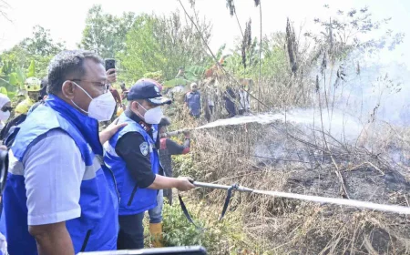 42 Perusahaan Terindikasi Terkait Karhutla di Kalimantan, Sanksi dan Biaya Pemulihan Akan Dijatuhkan