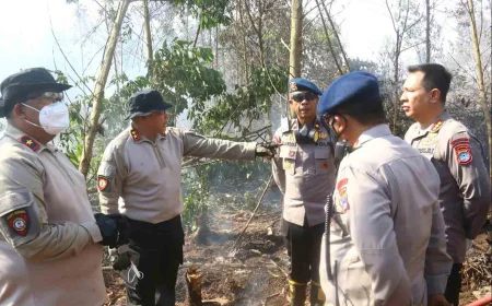 Jejak Pembakaran Lahan di Kalsel Terus Diusut, 5 Orang Resmi Tersangka