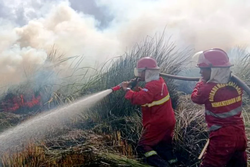 Karhutla Sulit Dijangkau, BPBD Kalsel Langsung Menurunkan Water Bombing
