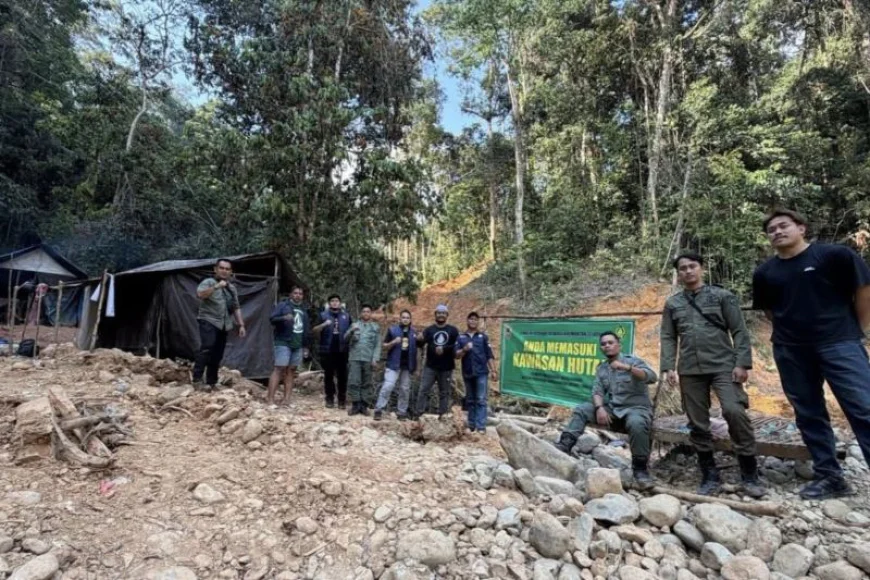 Jejak Tambang Emas Ilegal Ditemukan di Hutan Tabalong, Tersisa Bekas Galian Berdiameter 30 Meter