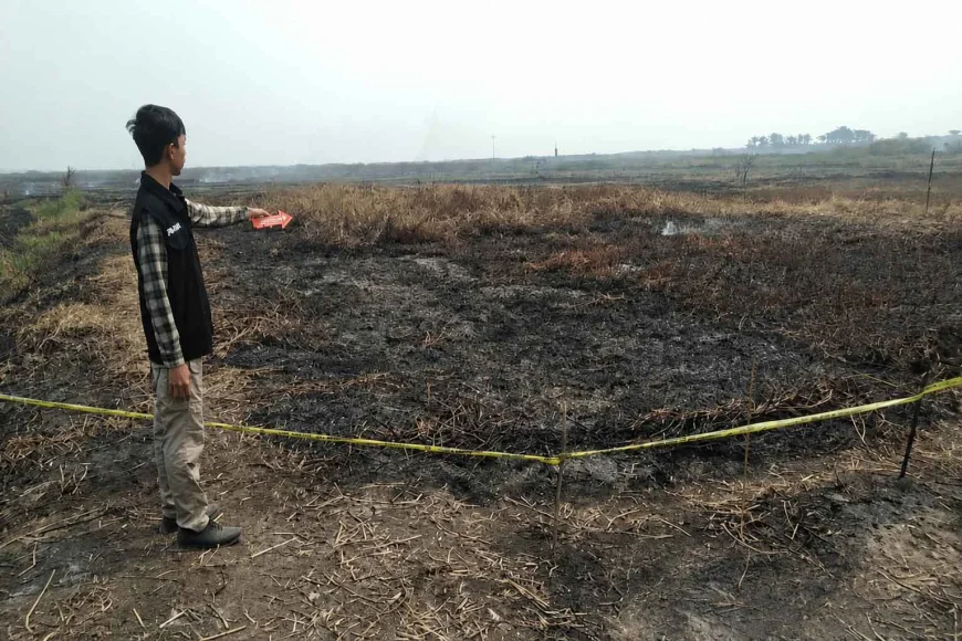 Petani di Simpur HSS Ditangkap Usai Bakar Lahan Seluas 2,8 Hektare
