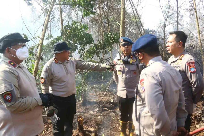 Jejak Pembakaran Lahan di Kalsel Terus Diusut, 5 Orang Resmi Tersangka