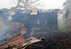 Karhutla di Marabahan Batola Bakar 3 Rumah, Kerugian Rp140 Juta