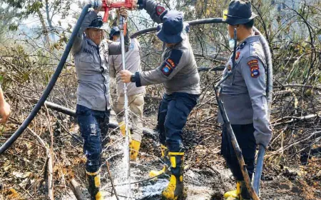 Polda Kalsel Selidiki Karhutla di Lahan Korporasi, Termasuk Batola dan Tapin