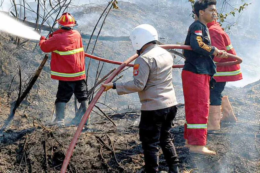 Rumah Lansia di Bago Tanggul HSS Terbakar, Diduga Akibat Rembetan Karhutla