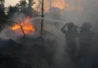 Kebagian Banpres Karhutla, Pemkab Batola Masih Susun Rencana Penggunaan Anggaran