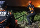 Banjarmasin Terima Banpres Karhutla, Relawan Hingga Layanan Kesehatan Menjadi Prioritas