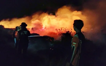 Pakan Makin Mahal, Kemarau dan Karhutla Gerus Keuntungan Peternak di Tapin