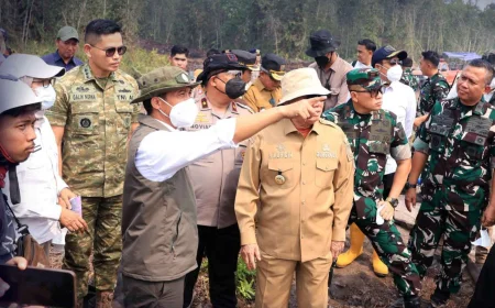 Dikepung Karhutla, Banjar dan Batola Tak Terima Banpres Rp100 Miliar